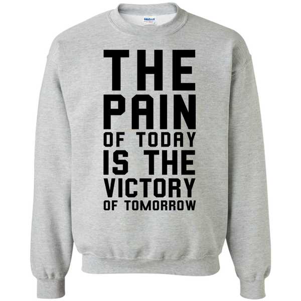 The Pain of Today is the Victory of Tomorrow T-Shirt, Hoodie, Tank - TeesGrab