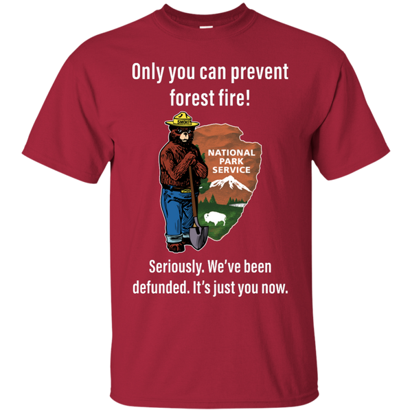 Smokey Bear: Only You Can Prevent Forest Fire Shirt, Hoodie, Tank - TeesGrab